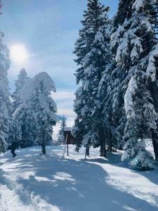 T2 de charme, SPA / Thermes d’Uriage, Ski im Winter