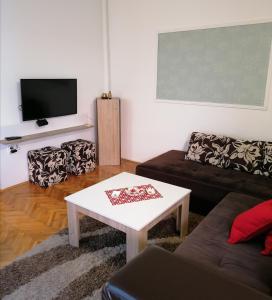 TV a/nebo společenská místnost v ubytování Apartman Centar + 37 fotografií