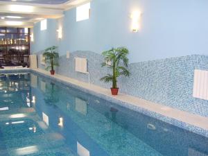 a swimming pool with two plants in a building at Deluxe SPA-Hotel in Ustʼ-Kamenogorsk