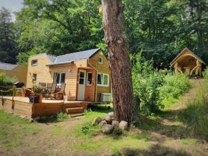 eine Hütte im Wald mit einem Baum in der Unterkunft Ferien im Tiny House in Stuer