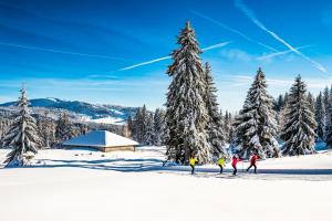 Babaute 7, studio typique au pied des pistes v zime