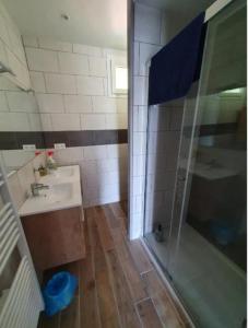 La salle de bains est pourvue d'une douche et d'un lavabo. dans l'établissement Maison de Nicolas et Sonia, à Bort-les-Orgues