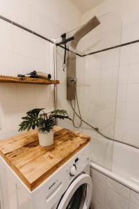 a bathroom with a washing machine and a plant on a counter at Stilvolle, gemütliche Wohnung mitten im ZENTRUM in Leipzig