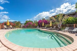 a large swimming pool with chairs and umbrellas at Résidence Pommes Cannelles in Bouillante