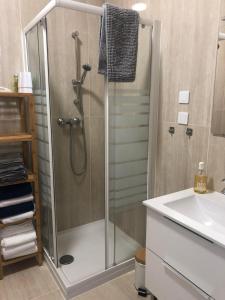 een badkamer met een douche en een wastafel bij Montbard appartements au centre historique chez Delphine et Guillaume in Montbard