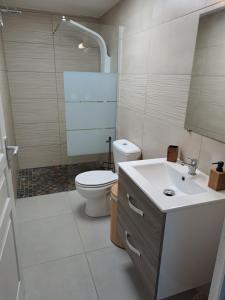 a bathroom with a toilet and a sink and a shower at Appartement Cosy, T2 Situé en Centre ville de Saint-Pierre in Saint-Pierre