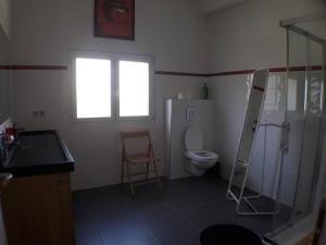 a bathroom with a shower and a toilet and a ladder at 170 m² entre Lyon et St Etienne in Saint-Martin-la-Plaine