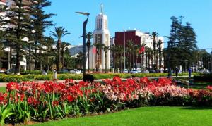 Κήπος έξω από το Chic-Moderne-Cosy. Au cœur du Parc, proche plage