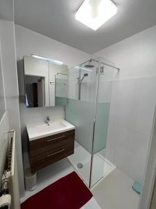 a bathroom with a sink and a shower with a mirror at Sorghvliet in Middelkerke