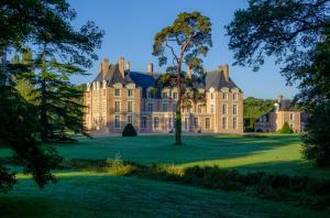 Vernou-en-Sologne的住宿－La Borde en Sologne Château & Spa，一座老宅邸,院子里有一棵树