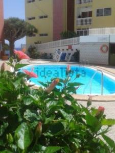 a swimming pool in front of a building at Carpe Diem in San Agustin