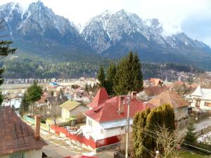 a small town with mountains in the background at Vila Marcela in Buşteni