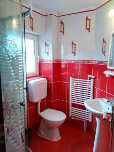 a red bathroom with a toilet and a sink at Vila Marcela in Buşteni