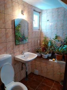 a bathroom with a sink and a toilet and potted plants at Vila Marcela in Buşteni +56 photos