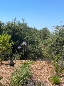 Giardino di Alonella