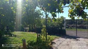 A garden outside Etna, salvia e rosmarino
