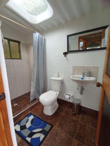 a bathroom with a toilet and a sink at Glamping El Refugio in Guatavita