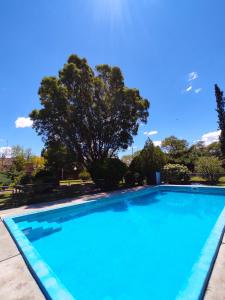 uma grande piscina azul com uma árvore ao fundo em Dpto Alma en Calma San Rafael em São Rafael