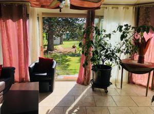 Vonkajšia záhrada v ubytovaní La petite maison de Paule