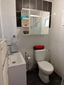 La salle de bains blanche est pourvue de toilettes et d'un lavabo. dans l'établissement Charmant appartement indépendant, 5 mn de Rouen, avec terrasse., à Franqueville-Saint-Pierre