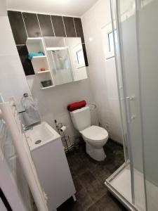 La salle de bains est pourvue de toilettes, d'un lavabo et d'une douche. dans l'établissement Charmant appartement indépendant, 5 mn de Rouen, avec terrasse., à Franqueville-Saint-Pierre