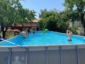 a group of people in a swimming pool at Story House 2 in Bragadiru