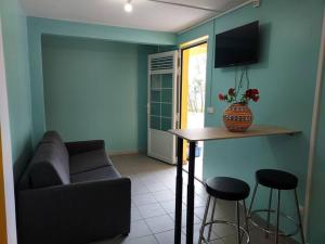 Μια τηλεόραση ή/και κέντρο ψυχαγωγίας στο Appartement T2 le Vallon au Marin Martinique