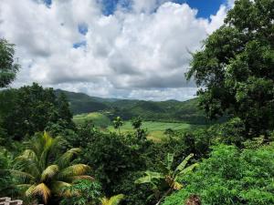 Blick auf den Dschungel mit Bergen im Hintergrund in der Unterkunft Appartement T2 le Vallon au Marin Martinique in Le Marin