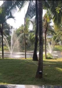 Градина пред Sanctuary Hồ Tràm Villa