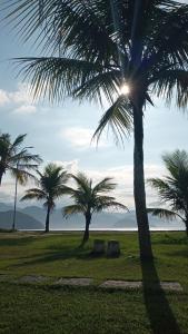 Naturlandskabet i nærheden af feriehuset