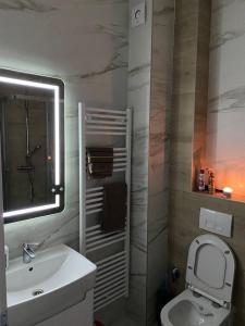 uma casa de banho com um lavatório, um WC e um espelho. em Apartman Bulevard em Sarajevo