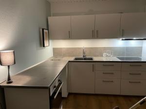 Kuchyň nebo kuchyňský kout v ubytování Jonstrupvejens Apartments Lejl B