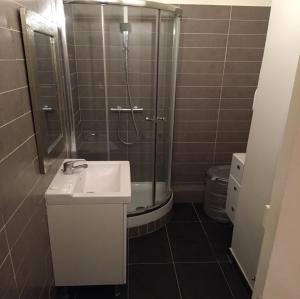 a bathroom with a sink and a shower at Appartement, Lyon, Villeurbanne in Villeurbanne