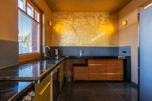 a kitchen with a sink and a counter top at PATEK Premium Apartments - Airport & MTP in Skórzewo
