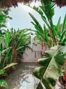 um jardim com palmeiras e uma fonte em Mondi Lodge em Dorp Sint Michiel