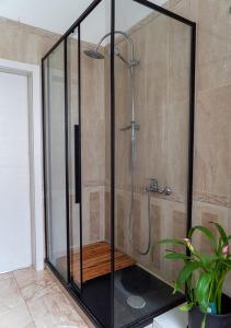 a shower with a glass enclosure in a bathroom at B&B Diana in Marostica