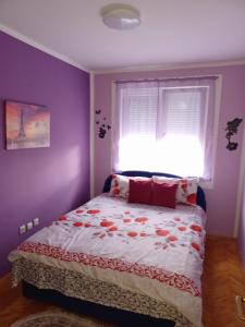 a bedroom with a bed with a window at Lovely L home BN centar -Rent a car automatic in Bijeljina