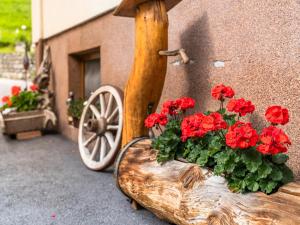 Fotografia z galérie ubytovania Wohlfarter v destinácii Jerzens