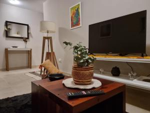 a living room with a tv and a table with a plant at Marfil in Posadas