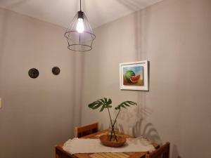 a dining room table with a potted plant on it at Marfil in Posadas