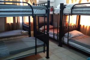 grupa łóżek piętrowych w pokoju w obiekcie The Red Hut Inn w mieście Belize City