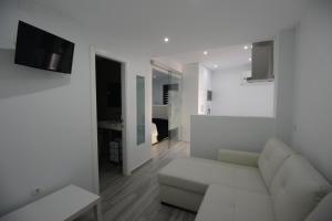 A television and/or entertainment centre at Apartamentos Torrecilla