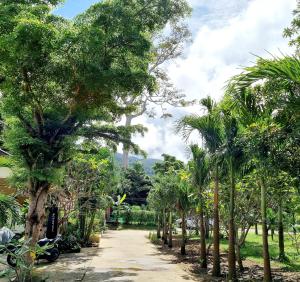 Filou Studio Golf Pool Access 29 67外面的花园