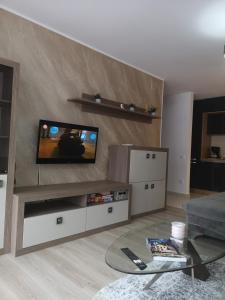 a living room with a flat screen tv on a wall at Alexandra view studio in Braşov