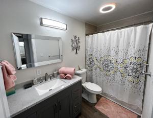 La salle de bains est pourvue d'un lavabo, de toilettes et d'une douche. dans l'établissement Anchorage midtown apartment-Wyoming 2, à Anchorage