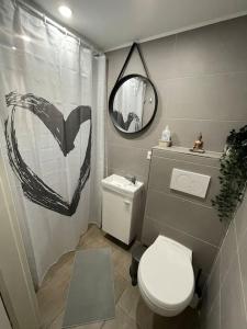 a small bathroom with a toilet and a mirror at Studio situé aux abords de la forêt avec parking in Differdange