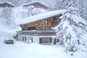 une cabane en rondins dans la neige avec un arbre enneigé dans l'établissement Outstanding chalet for groups, south facing, breathtaking views - all year round, à Anzère