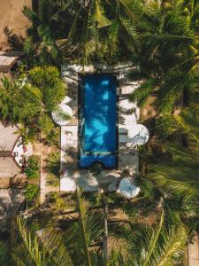 an overhead view of a swimming pool in a resort with trees at Selvática in Gili Islands