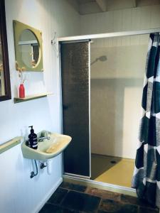 彼得伯勒Peterborough Beach House的带水槽和淋浴的浴室