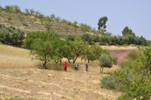 Paesaggio naturale nelle vicinanze dell'affittacamere